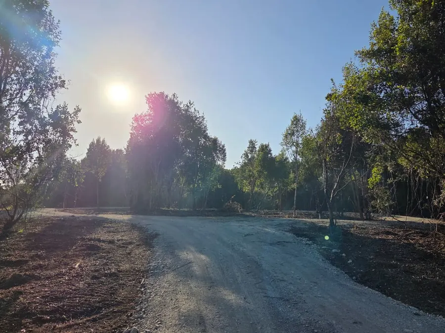 El camino al atardecer