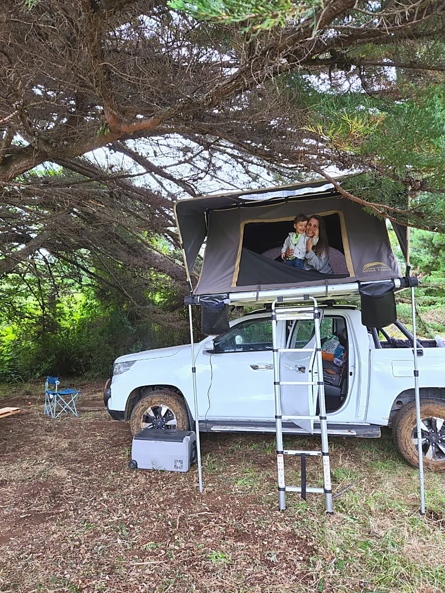 Camping bajo los árboles
