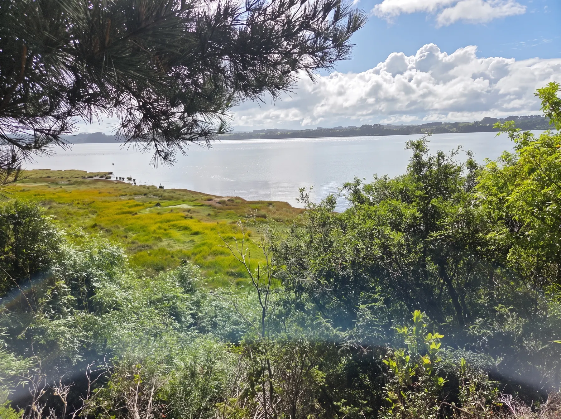 El estuario desde el predio